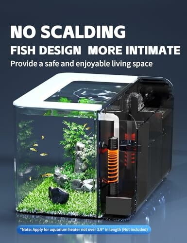 Modern aquarium with safe fish design and filtration system.