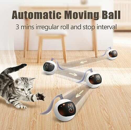 Cat playing with an automatic moving ball toy indoors