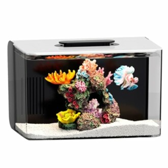 Small Aquarium for Betta Fish