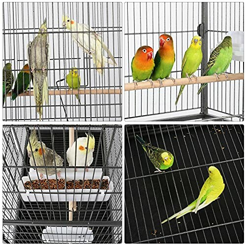 Various colorful parrots and budgies in cages.