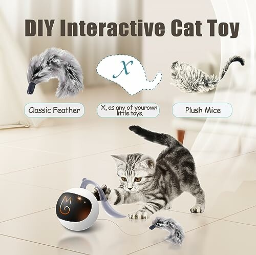 Kitten playing with a DIY interactive cat toy