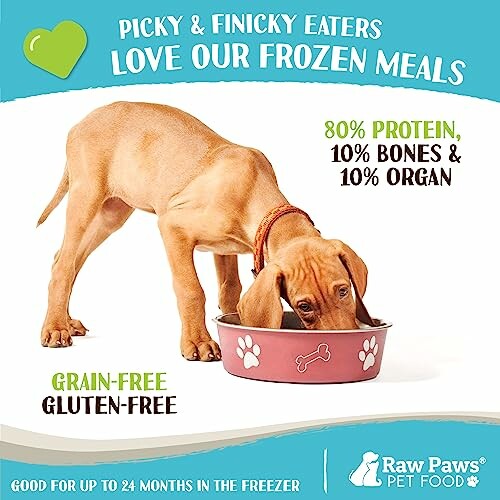 Dog eating from a pink bowl with text about frozen meals.