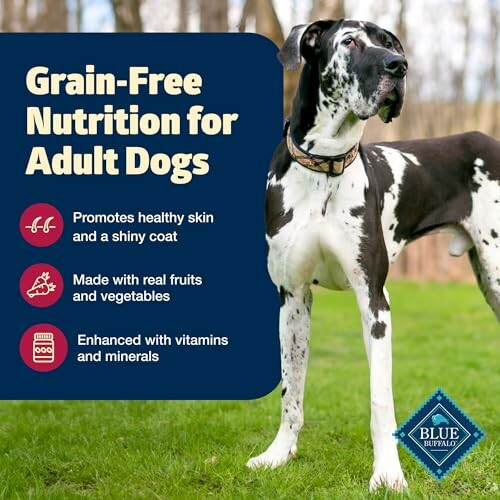 Great Dane with grain-free nutrition benefits for adult dogs.